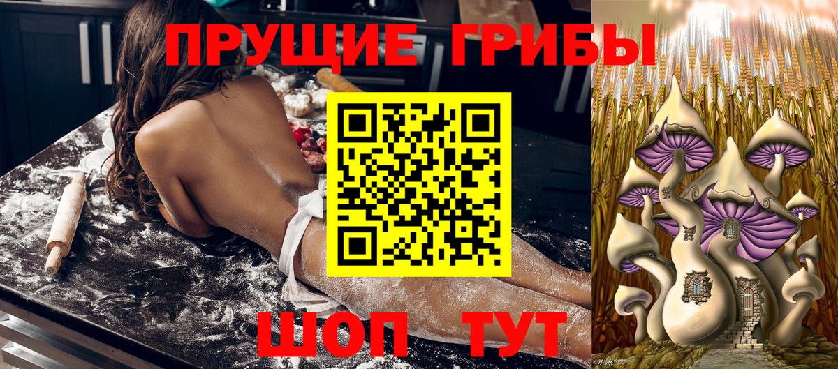 Галлюциногенные грибы ЛСД Изобильный