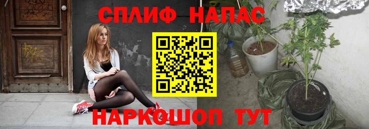 Каннабис AK-47 Изобильный